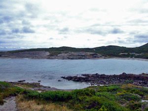 BH06, -35.031740, 117.074720 Grassed campsite on other side BH06, -35.031740, 117.074720 Grassed campsite on other side