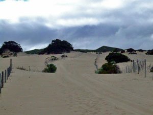 BH24, -35.015238, 117.038856 Defined track thru dunes BH24, -35.015238, 117.038856 Defined track thru dunes