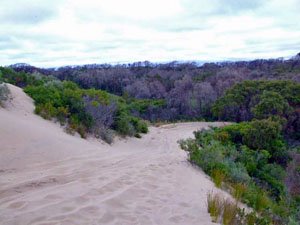 Can be quite soft at the crest Can be quite soft at the crest