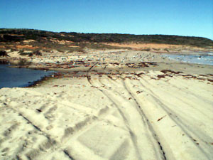 DC28, -28.410390, 114.452220 Bowe River mouth DC28, -28.410390, 114.452220 Bowe River mouth