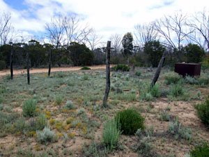 DUN41 -32.37725 lon=121.98249 Old camp