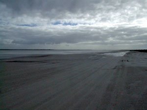 ES126, -33.679589, 123.784082 Across the flats ES126, -33.679589, 123.7840820 Across the flats