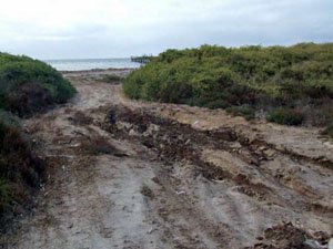 ES144, -33.613340, 123.867090 Old Jetty ES144, -33.613340, 123.867090 Old Jetty