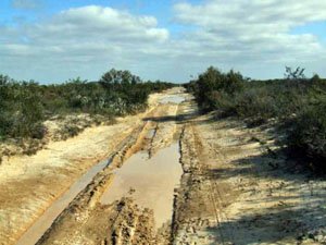 ES175, -33.673610, 123.179420 Looking south ES175, -33.673610, 123.179420 Looking south