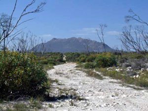 ES178, -33.521310, 123.379220 Mt Ragged ES178, -33.521310, 123.379220 Mt Ragged