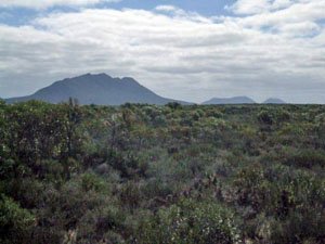 ES189, -33.511150, 123.484530 Mt Ragged ES189, -33.511150, 123.484530 Mt Ragged