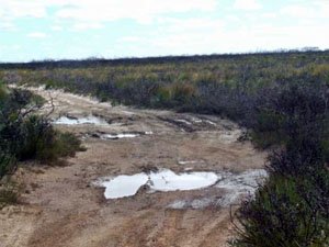 ES045, -33.875820, 122.893640 Enroute to Kenndys Beach ES045, -33.875820, 122.893640 Enroute to Kenndys Beach