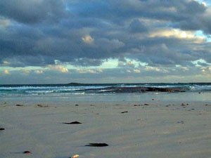 ES054, -33.896033, 123.124813 Small rocky outcrop ES054, -33.896033, 123.124813 Small rocky outcrop