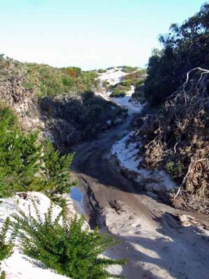 ES068, -33.880890, 122.990940 Enter creek bed ES068, -33.880890, 122.990940 Enter creek bed