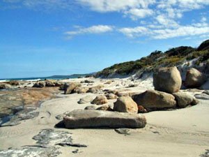 ES085, -33.895510, 123.370835 On the beach ES085, -33.895510, 123.370835 On the beach