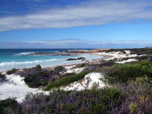 Looking at the western point of Kenndy's beach Looking at the western point of Kenndy's beach