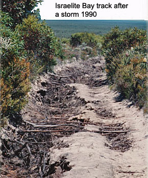 Storm damage 1990 Israelite Bay Storm damage 1990 Israelite Bay