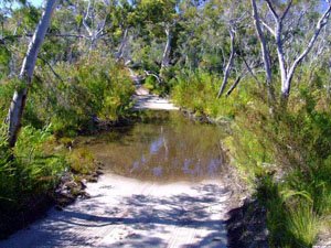 MT09, -34.889246, 116.323004 Fish Creek MT09, -34.889246, 116.323004 Fish Creek