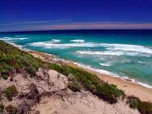 MT16, -34.927550, 116.359030 Typical terrain MT16, -34.927550, 116.359030 Typical terrain