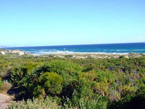 Taken just after MT28 Taken just after MT28