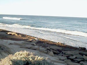 WPT 06,-28.963350, 114.724980,Ledge north of Lucys WPT 06,-28.963350, 114.724980,Ledge north of Lucys