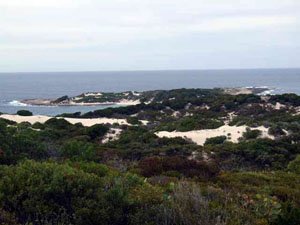 Shoal Cape from trk SI37