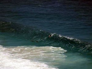 BBT060,Dolphins in the surf,-32.72855,125.02626