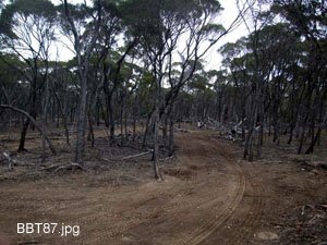 BBT087,Track conditions,-33.08942,123.75412