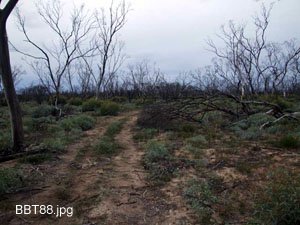 BBT088,Track conditions,-33.08772,123.79213