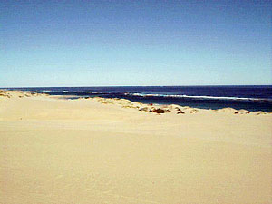 North of the bay North of the bay