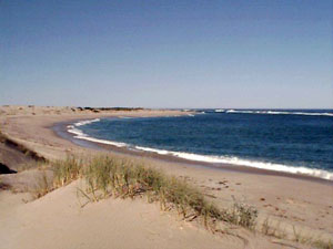 WAG11, -28.016300, 114.155530 WAG11,-28.016300, 114.155530