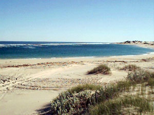 WAG11, -28.016300, 114.155530 WAG11,-28.016300, 114.155530