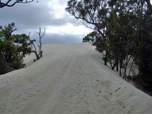 Let tyres down around here WR04, -34.548970, 115.862820 There is a clearing just around the corner