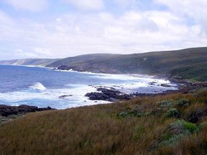 WCH13, -35.123230, 117.609380 Rocky shoreline. WCH13, -35.123230, 117.609380 Rocky shoreline.